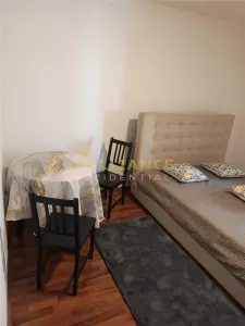 GARSONIERĂ - GATA DE MUTAT - 55.000â‚¬ - foto 3