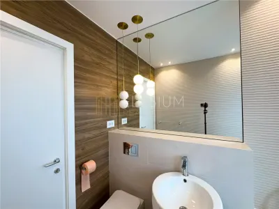 Apartament 3 camere de inchiriat Kiseleff - foto 17
