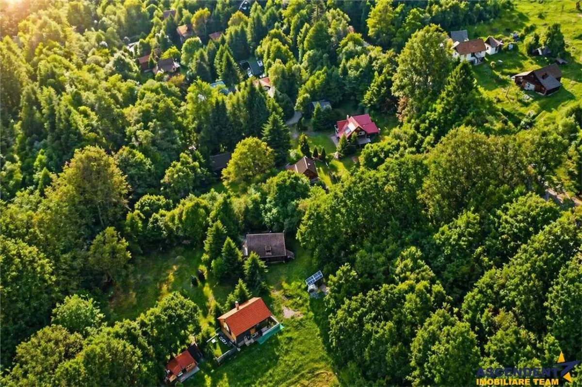 Casa/ Cabana+2.000 mp teren in miracolul naturii autentice,Bucin(Praid), Harghita. - foto 7