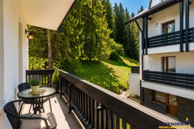 Oportunitate! Colt de rai in Poiana Brasov - Pensiune complet amenajata, gata de preluare - foto 15