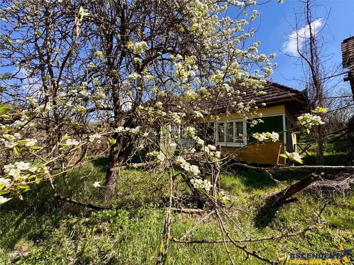 Casa traditionala,zona pitoreasca,domeniu de 3.400 mp,Suveica,Acatari,Mures - foto 16