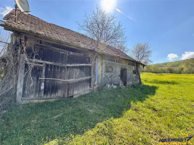 Casa traditionala,zona pitoreasca,domeniu de 3.400 mp,Suveica,Acatari,Mures - foto 20