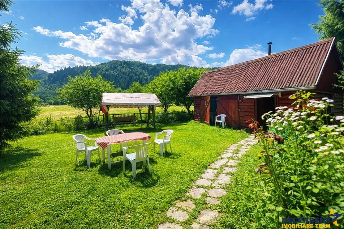FILM &Tur LIVE! Casa de vacanta, intr- o ariere admirabila,Lunca Bradului. - foto 1