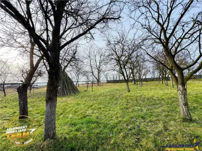 FILM! Oaza ta de liniste pe 0.5ha teren intravilan, Dalnic, Covasna - foto 5