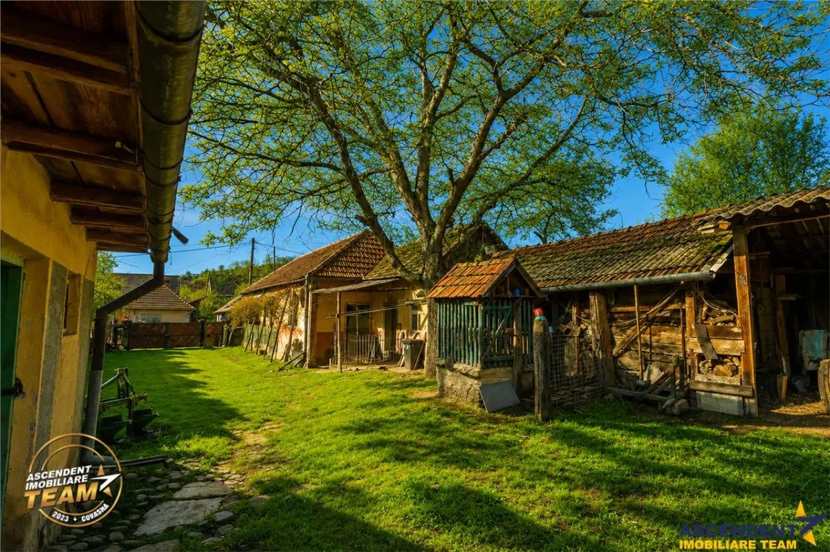 FILM! Casa si anexe, pe domeniu de 6.221mp,  livada pomi fructiferi, Lemnia, Covasna - foto 19