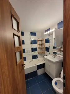 Apartament 2 Camere | Fizicienilor - Camil Ressu | Dristor | Sector 3 - foto 16