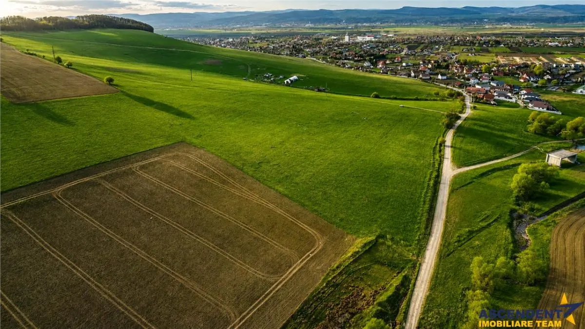 FILM! Portofoliu funciar de exceptie: 23.669 mp eren extravilan Sangiorgiu, Mures - foto 2