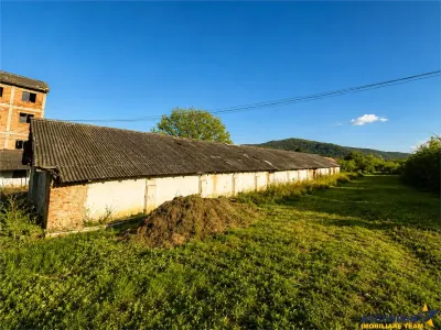 Spatiu comercial/ Industrial multifunctional: productie,depozitare,logistica,Raciu,Mures - foto 3
