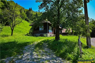 FILM! Casa traditionala pe domeniu de 4.300mp teren, Bran - Simon, Brasov - foto 12