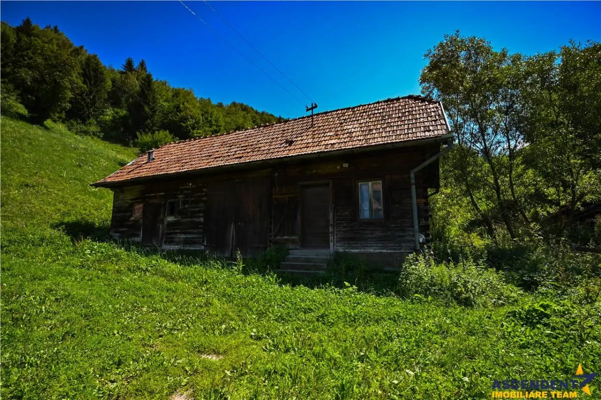 FILM! Casa traditionala pe domeniu de 4.300mp teren, Bran - Simon, Brasov - foto 19
