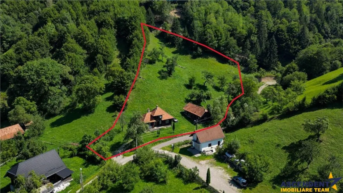 FILM! Casa traditionala pe domeniu de 4.300mp teren, Bran - Simon, Brasov - foto 3