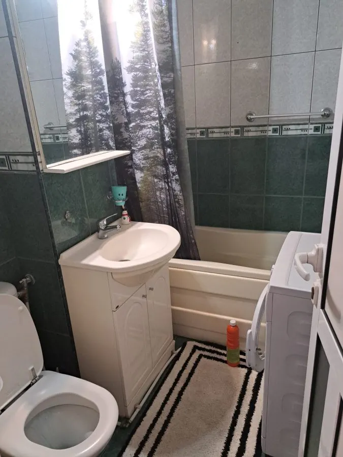 Apartament 2 Camere Mircea cel Batran - 430 euro - foto 11
