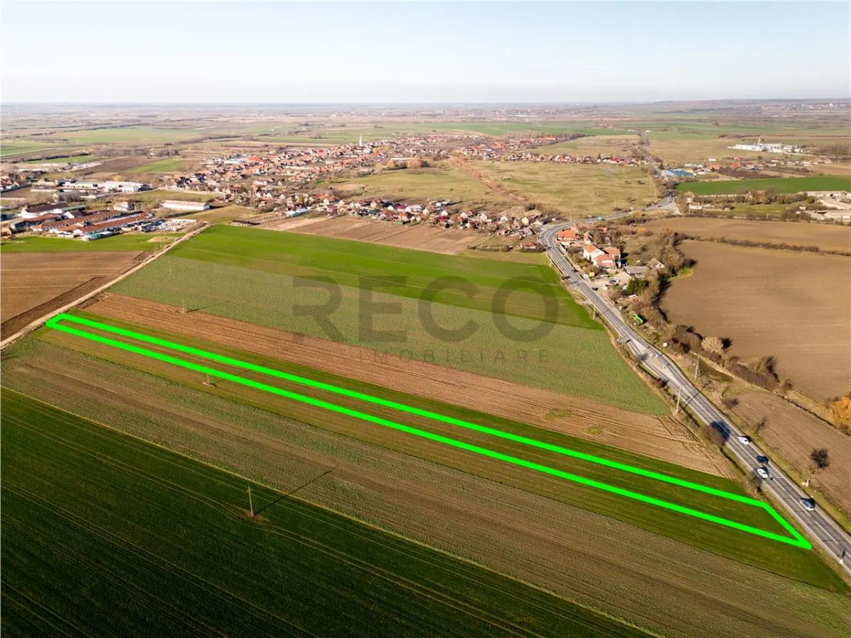 RECO teren 5000mp cu deschidere la DN19 Tamaseu - foto 3