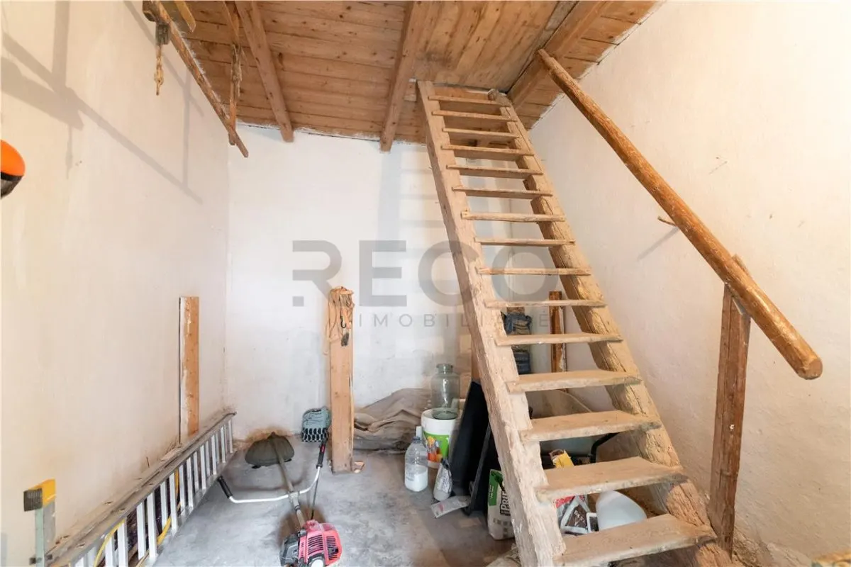 RECO Teren mare cu 2 case si front la 2 strazi in Tamaseu - foto 21